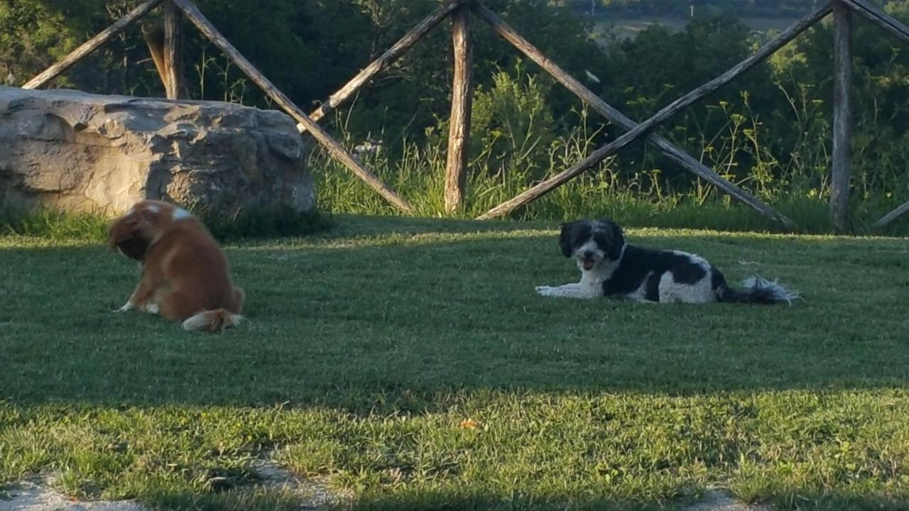 Le Giare Farm stay *